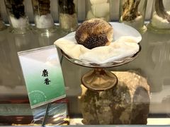 -广东中医药博物馆