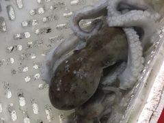 -霞涌市场海鲜摆卖区