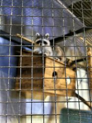 -酷嗒动物文化乐园(cutezoo西溪乐天城店)