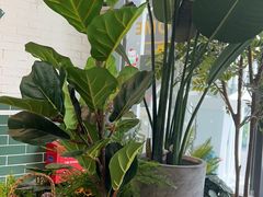 -做披萨的奇葩(中海央墅店)