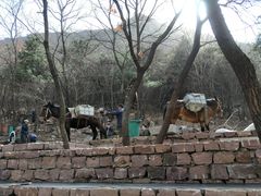 -山叶口景区