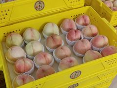 -老袁家蜜桃农场·阳山水蜜桃