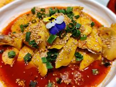 -海派美食·家宴海鲜青岛菜·石锅鲽鱼头(东方城店)