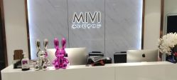 -MIVI·纹眉半永久野生眉