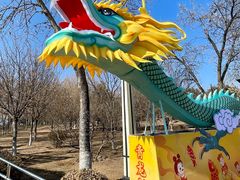 -青龙湖公园