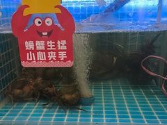-七欣天香辣蟹火锅(南京桥北太平店)