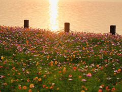 -上海山野camping·户外天幕烧烤·团建拓展营地
