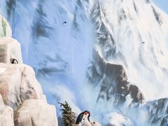 -湘江欢乐城欢乐雪域