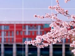 -坝河休闲公园