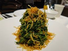 巧拌豆苗-四季民福烤鸭店(王府井灯市口店)