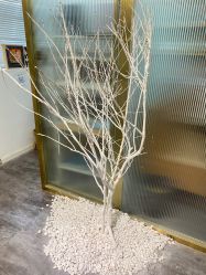 -星宝贝儿童摄影