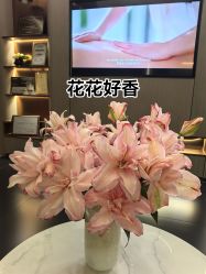 点击看大图 -半岛故事·法儿曼抗衰·indiba中心