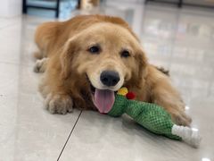 -佳雯宠物医院(四明中路分院)