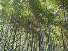 -同里国家湿地公园