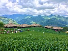 -优游吧斯邹族文化部落