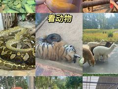 -北京野生动物园