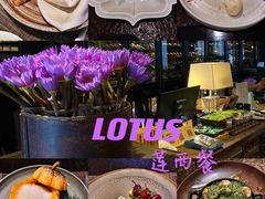 -莲西餐(曲江店)