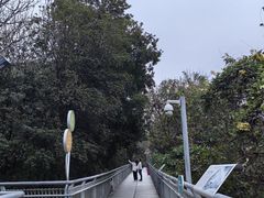 -佛山华盖山公园