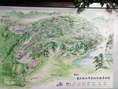 -铁山坪森林公园