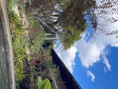 -昆明柏联SPA温泉