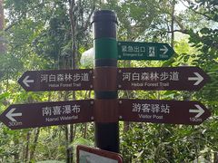 -海南热带雨林国家公园吊罗山景区