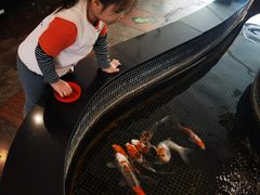 -唐廊烤鸭店(工体店)