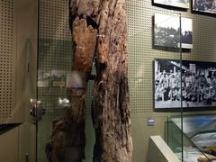 -辽沈战役纪念馆