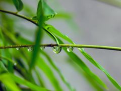 -苏州独墅湖体育馆