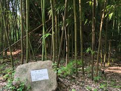 -福建鲤鱼洲酒店