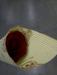 -素颜秀·纹眉·野生眉·纹唇半永久