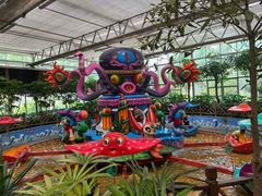 -南宫五洲植物乐园