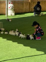 -萌宠亲子动物乐园(槐房万达店)