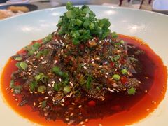 鲜椒毛肚-大鸭梨烤鸭(枣园店)