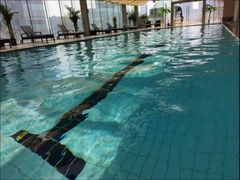 -小海豚国际游泳培训中心(浦东源深体育中心店)