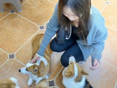 -柯斗斗主题餐厅·狗咖·围炉煮茶·茶饮(国瑞升平里店)