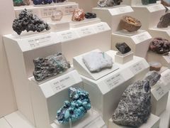 -天津自然博物馆