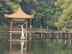 -华中科技大学光谷体育馆