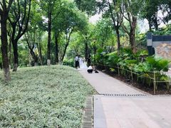 -重庆市江北嘴中央商务区中央公园