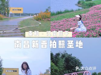 南昌新晋拍照圣地｜又一处0元可拍的绝美公园