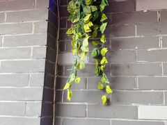 -夜猫子串吧·龙虾.江西小炒(万塘路店)