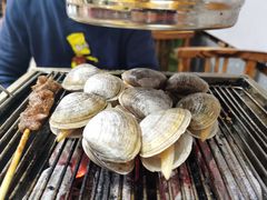 黄蚬子-丹东特色烤肉(南光三部店)