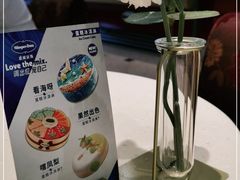 -哈根达斯(石家庄北国店)