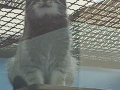 -青藏高原野生动物园