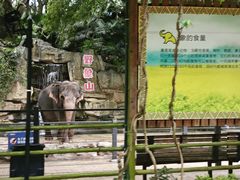 -深圳野生动物园