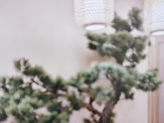 -清水日本料理铁板烧(学府路店)