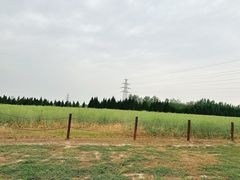 -汉长安城未央宫国家考古遗址公园