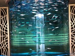 -亚龙湾海底世界