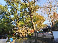 -西溪国家湿地公园