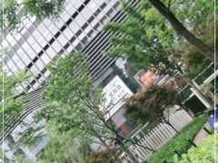 -新天地活力PARK