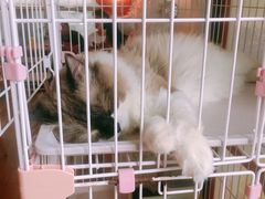-灯塔咖啡馆BOOK·Coffee Shop